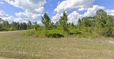 Beach Lot For Sale in Lehigh Acres, Florida