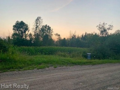 Beach Acreage For Sale in Applegate, Michigan