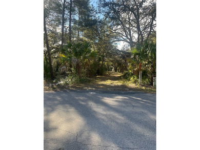 Beach Lot For Sale in Weeki Wachee, Florida