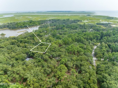 Beach Lot For Sale in Saint Helena Island, South Carolina