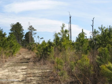 Beach Acreage For Sale in Barco, North Carolina