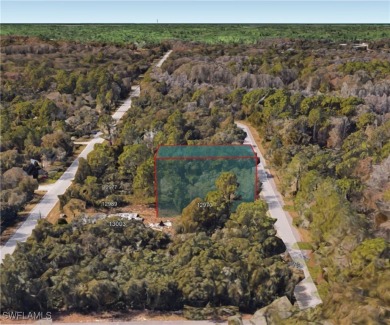 Beach Lot For Sale in New Port Richey, Florida