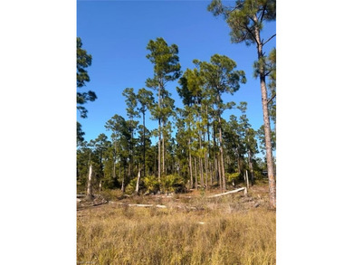 Beach Lot For Sale in Lehigh Acres, Florida