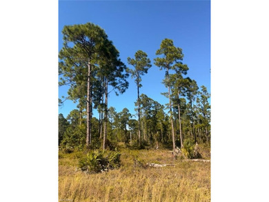 Beach Lot For Sale in Lehigh Acres, Florida