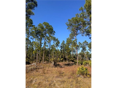 Beach Lot For Sale in Lehigh Acres, Florida