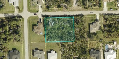 Beach Lot For Sale in Lehigh Acres, Florida