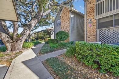 Beach Condo For Sale in Clearwater, Florida