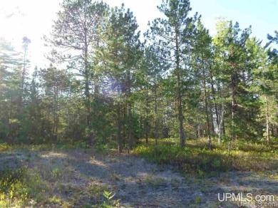 Beach Acreage For Sale in Lake Linden, Michigan