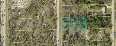 Beach Lot For Sale in Lehigh Acres, Florida