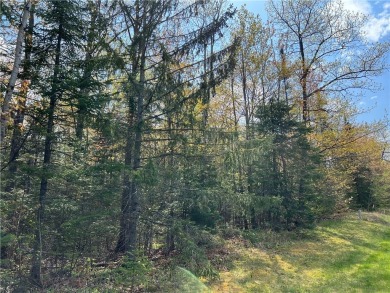 Beach Lot For Sale in Bayfield, Wisconsin