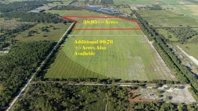 Beach Acreage For Sale in Clewiston, Florida