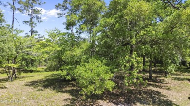 Beach Lot For Sale in Shallotte, North Carolina