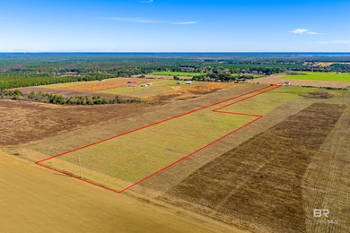 Beach Acreage For Sale in Elberta, Alabama
