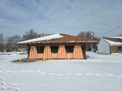 Beach Commercial For Sale in Vermilion, Ohio