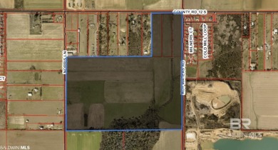 Beach Acreage For Sale in Foley, Alabama