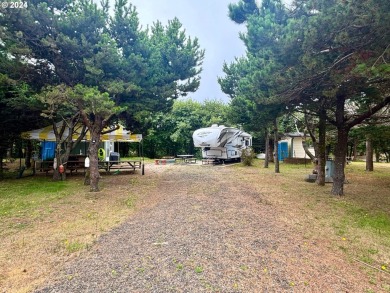 Beach Lot For Sale in Ocean Park, Washington