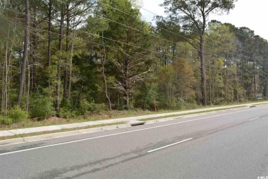 Beach Acreage For Sale in Port Royal, South Carolina