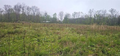 Beach Acreage Sale Pending in Sodus, New York