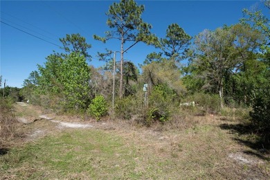 Beach Lot For Sale in New Port Richey, Florida