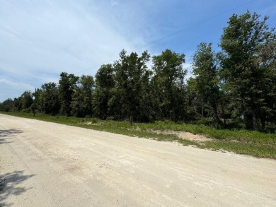 Beach Lot For Sale in Perry, Florida