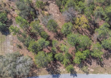 Beach Lot Sale Pending in Homosassa, Florida