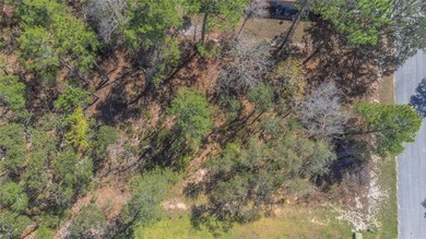 Beach Lot Sale Pending in Homosassa, Florida