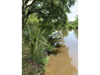 Beach Lot For Sale in Bay Saint Louis, Mississippi