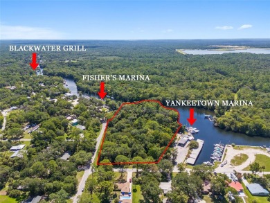 Beach Acreage For Sale in Yankeetown, Florida