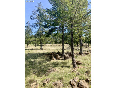 Beach Lot For Sale in Gold Beach, Oregon