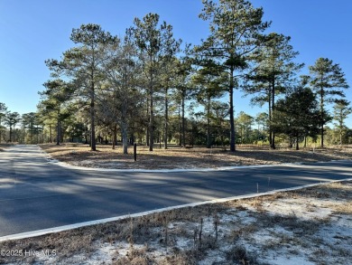 Beach Lot For Sale in Sunset Beach, North Carolina