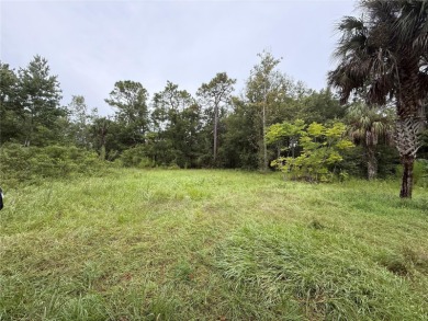 Beach Lot For Sale in Homosassa, Florida