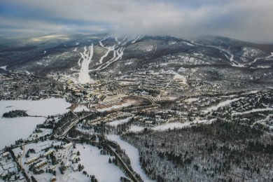 Beach Condo For Sale in Mont-Tremblant, 