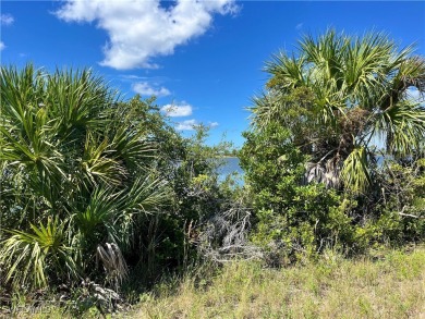 Beach Lot For Sale in Placida, Florida