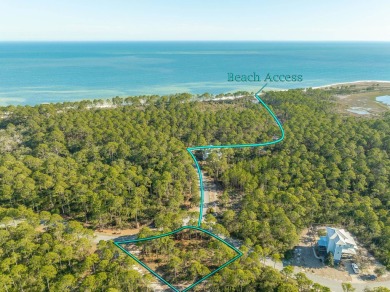 Beach Lot For Sale in Sopchoppy, Florida