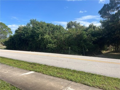 Beach Lot For Sale in Sebastian, Florida