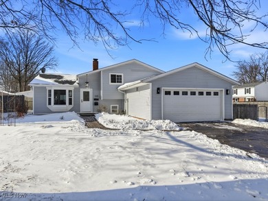 Beach Home For Sale in Eastlake, Ohio