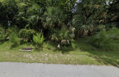 Beach Lot For Sale in Palm Coast, Florida