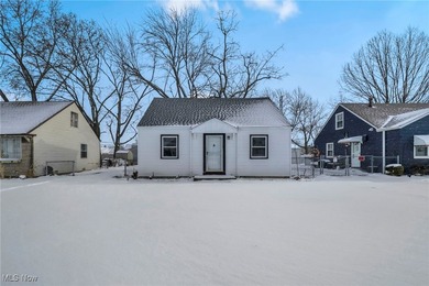 Beach Home For Sale in Cleveland, Ohio