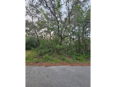 Beach Lot For Sale in New Port Richey, Florida