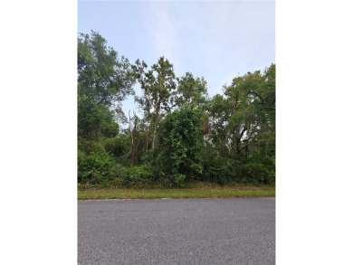 Beach Lot For Sale in New Port Richey, Florida