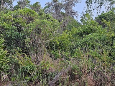 Beach Lot For Sale in New Port Richey, Florida