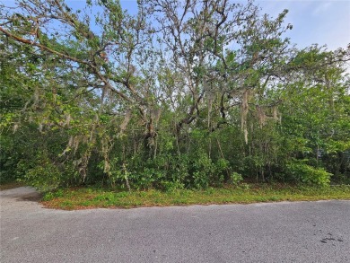 Beach Lot For Sale in New Port Richey, Florida