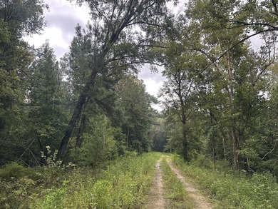 Beach Lot For Sale in Wewahitchka, Florida