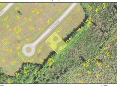 Beach Lot Off Market in Placida, Florida