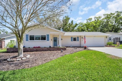 Beach Home For Sale in Palm Harbor, Florida