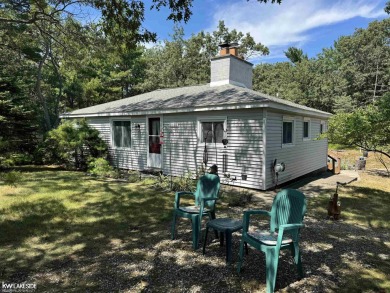 Beach Home For Sale in Sand Point, Michigan