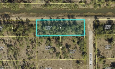 Beach Lot For Sale in Lehigh Acres, Florida