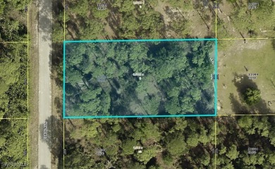 Beach Lot For Sale in Lehigh Acres, Florida