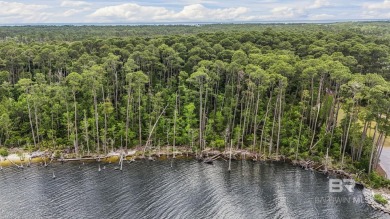 Beach Lot For Sale in Gulf Shores, Alabama