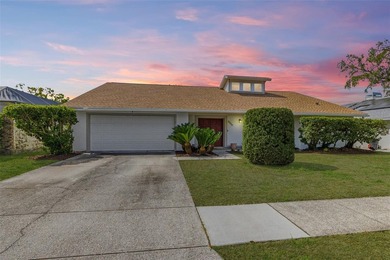 Beach Home For Sale in Tampa, Florida